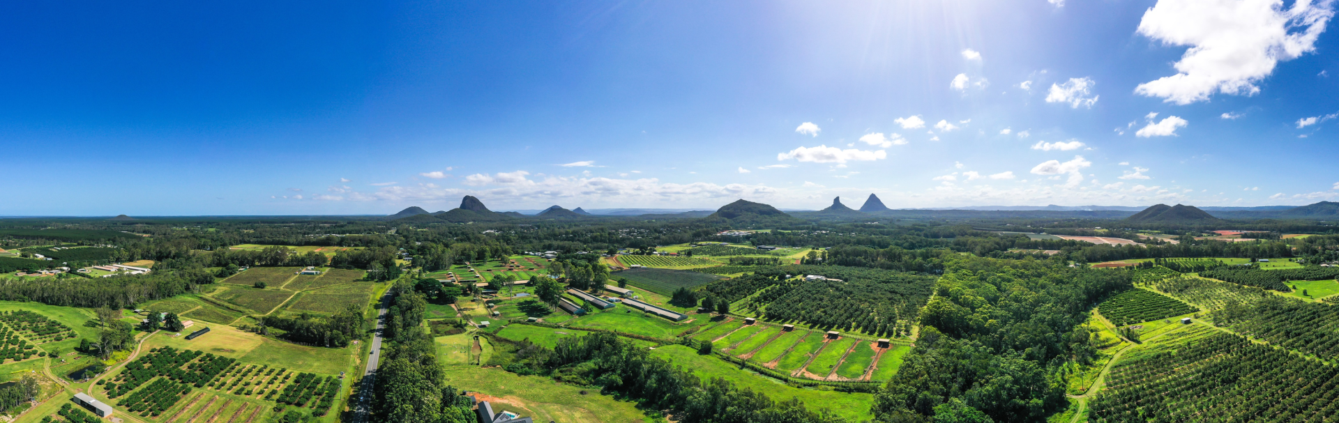 Advanced horse sales preparation at Embrace Farm, Queensland