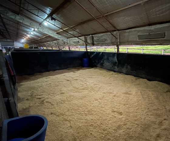 Embrace Farm rehabilitation and sales preparation