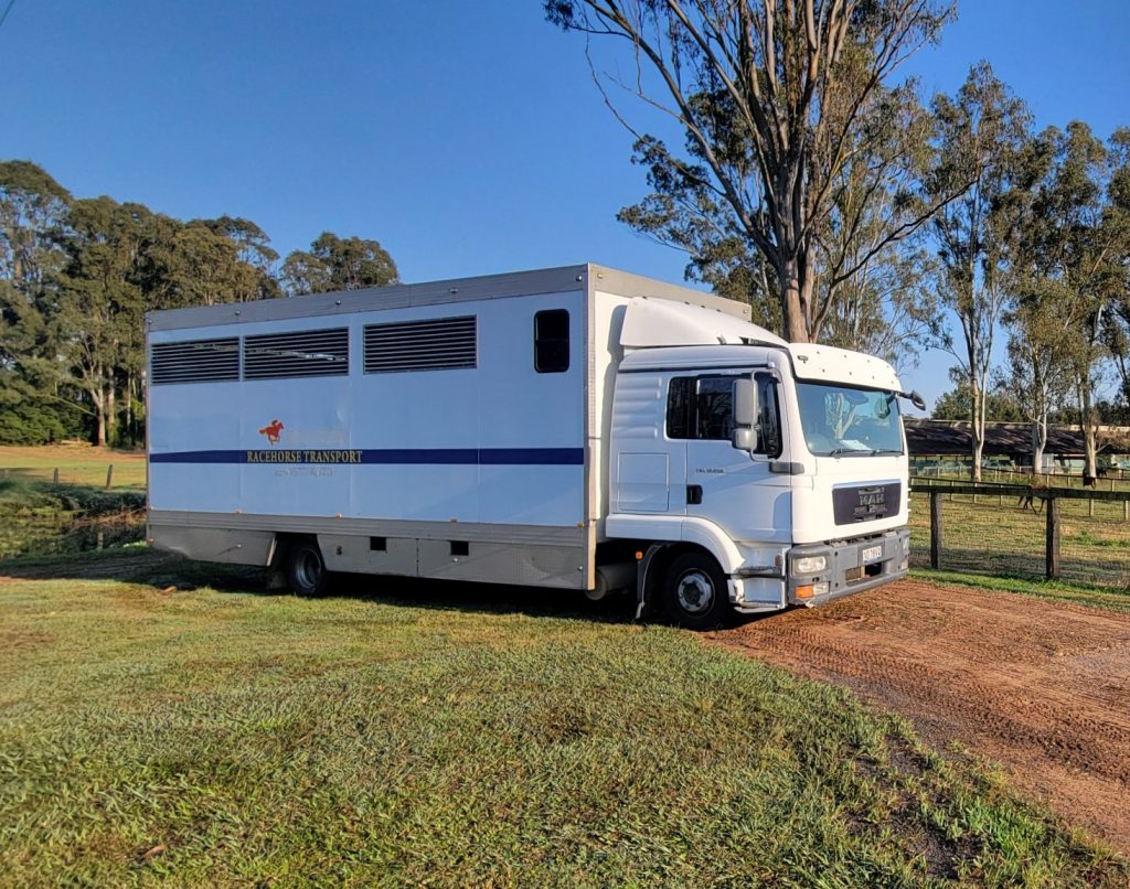 Horse Transport Sunshine Coast Queensland