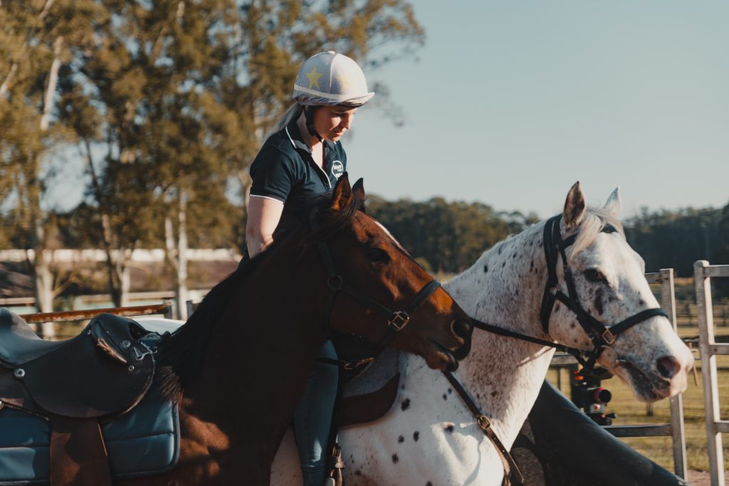 Sunshine Coast equine training facility, horse breaking-in services Queensland.